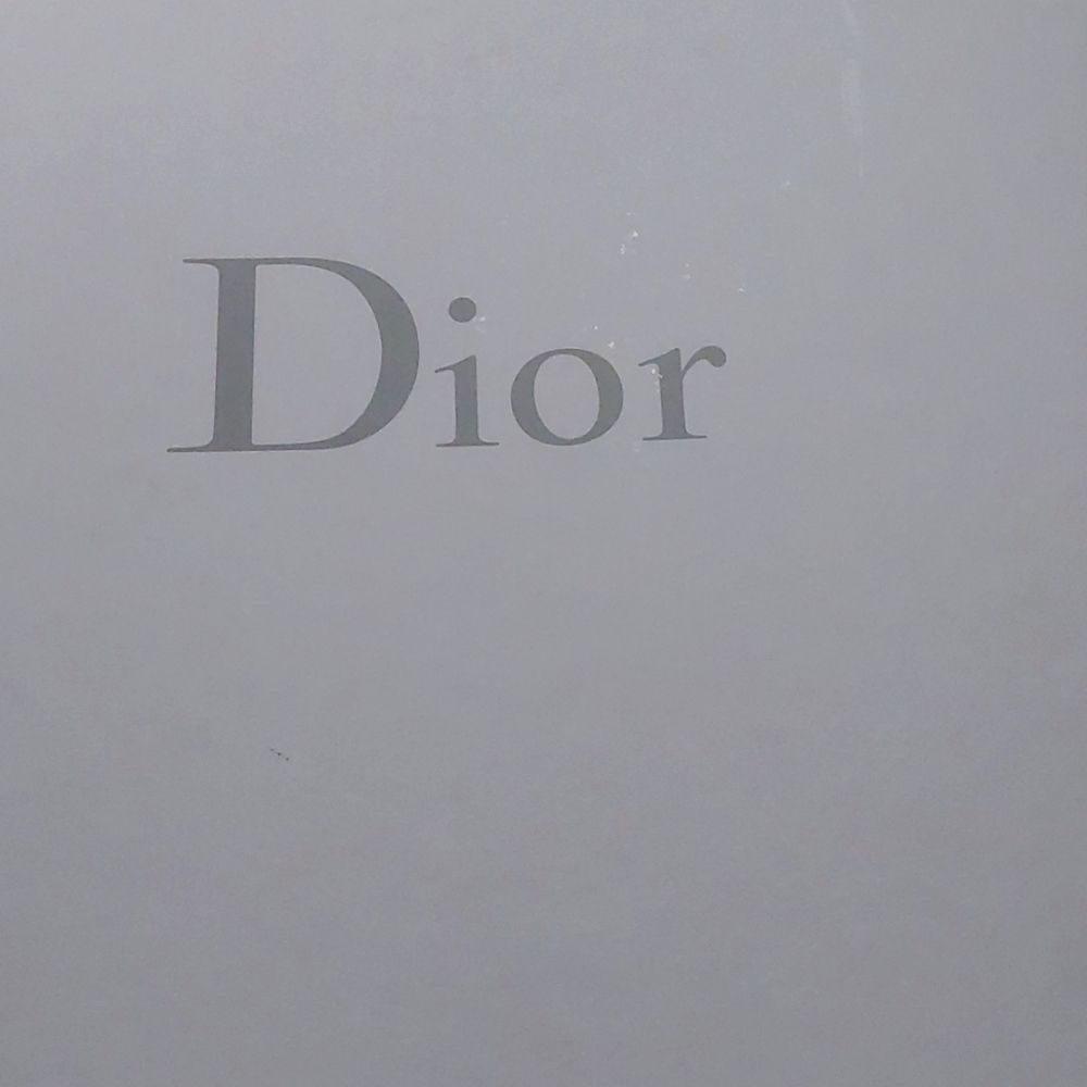 Christian Dior Sandles
